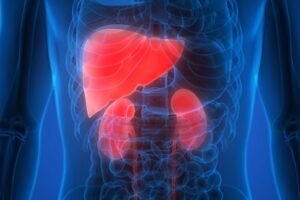 Liver and Kidney Damage