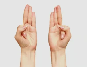 Vayu Mudra