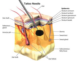 How Does Tattoo Ink Interact with the Body