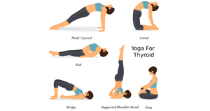 Best Yoga Asanas for Thyroid Health Poses, Benefits, and Precautions
