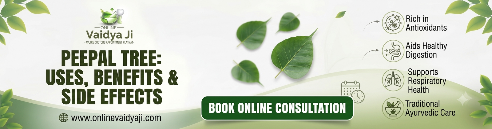 Peepal Tree Uses, Benefits & Side Effects