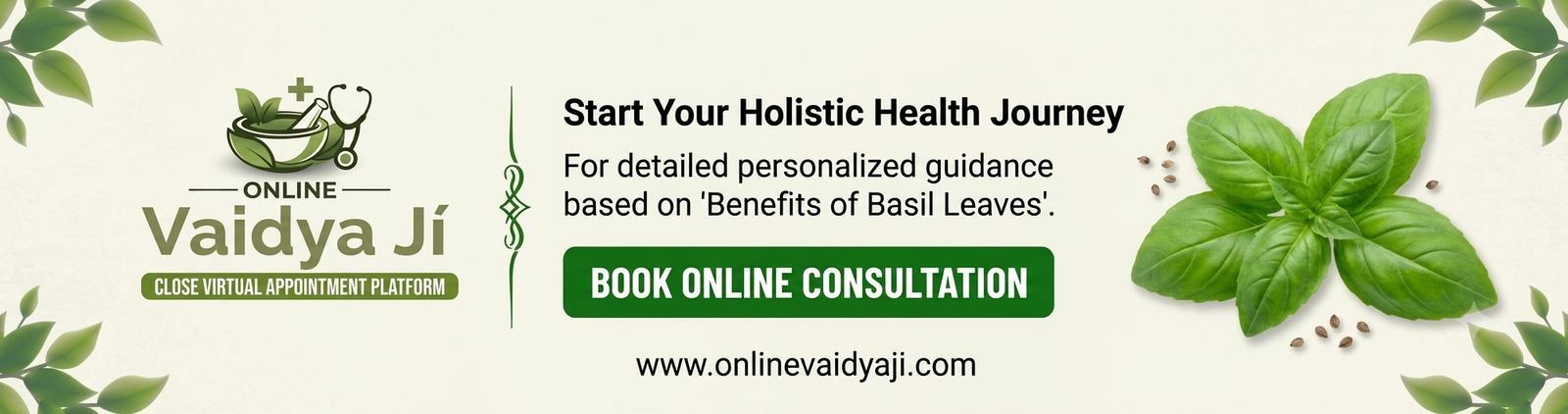 Benefits of Basil Leaves: Uses, Health Benefits, and Side Effects
