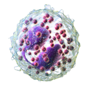 What Are Eosinophils