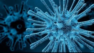 What Is Chandipura Virus (CHPV)?